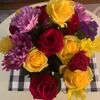 jamie_brummett